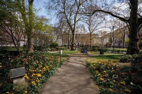 portman square.
